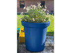Home Item - Violet Plastic, W 23.6 x D 23.6 x H 23.6 in