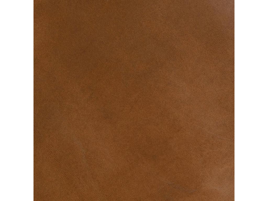 Home Item - Brown Leather